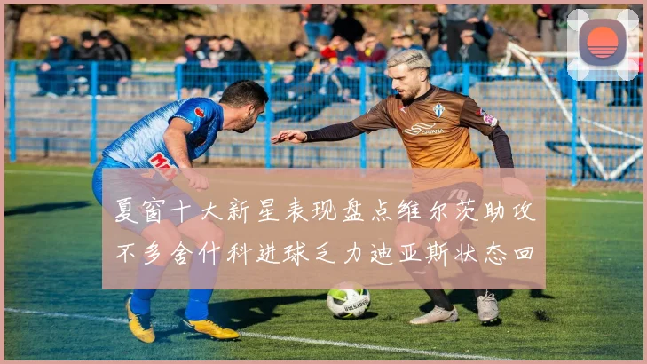 夏窗十大新星表现盘点维尔茨助攻不多舍什科进球乏力迪亚斯状态回暖
