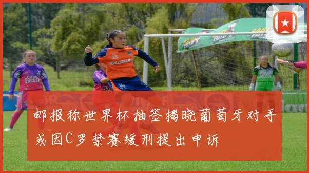 邮报称世界杯抽签揭晓葡萄牙对手或因C罗禁赛缓刑提出申诉